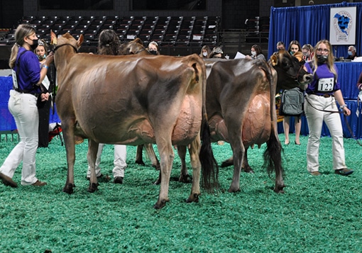 FourYearJrCandid Four-Year-Old Class, All American Junior Show