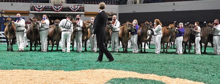 FuturityOverview National Jersey Jug Futurity with Judge Terri Packard