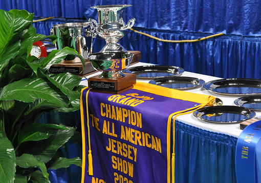 Hardware All American Open Show Awards