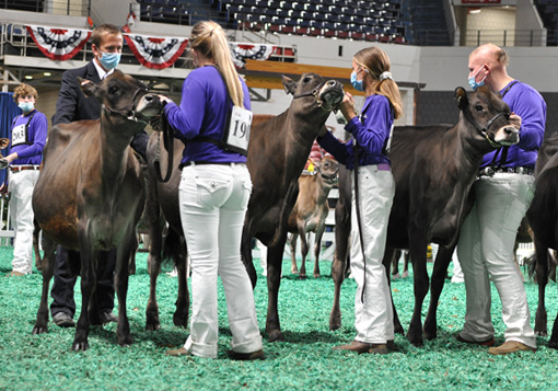 IntermediateCalfJrFront Intermediate Calf Class, All American Junior Show