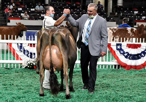 IntermediateChampion Intermediate Champion Selection, All American Open Show