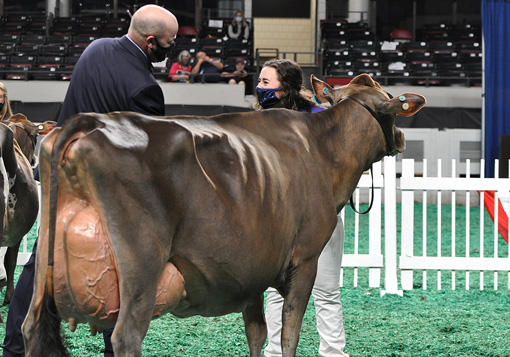 JrShowGrand1 Grand Champion Selection, All American Junior Show