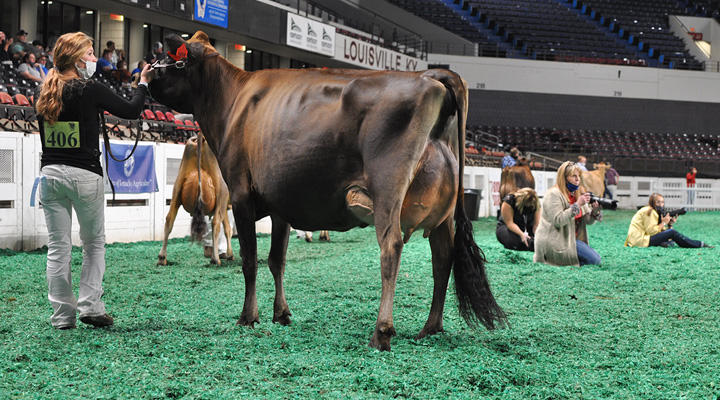 JuniorThreeCandidPhotographers Junior Three-Year-Old Class, All American Open Show