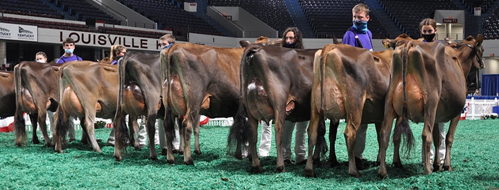JuniorTwoJrLineupRear Junior Two-Year-Old Class, All American Junior Show