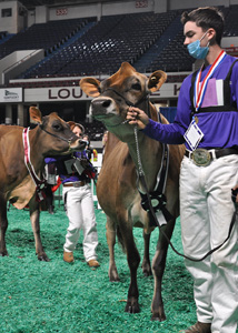 SeniorTwoJrWinner Senior Two-Year-Old Winner, All American Junior Show