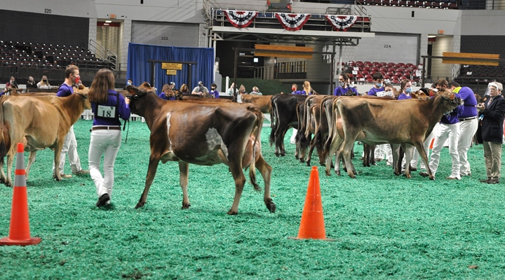 Showmanship Showmanship, All American Junior Show