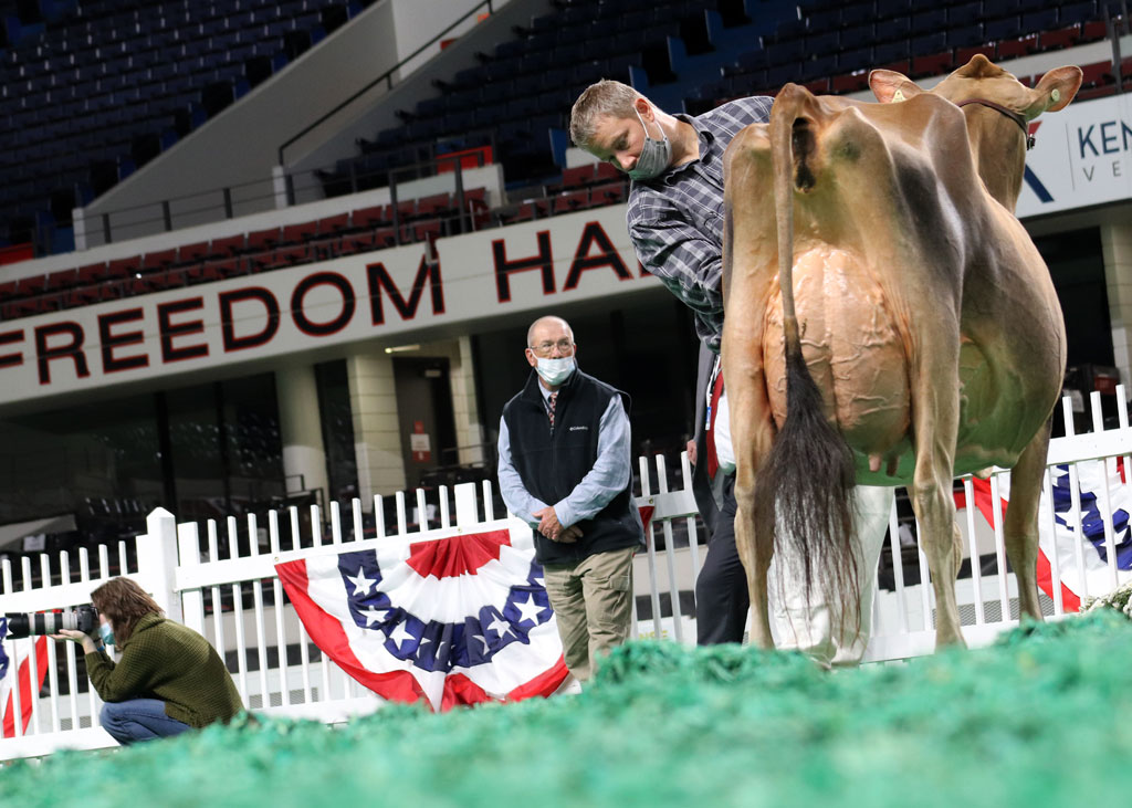 Supreme Supreme Champion Class, NAILE