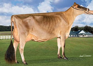 Arethusa Colton Cadbury-ETS