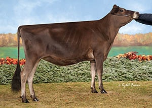 Arethusa Gentry Chevelle-ET