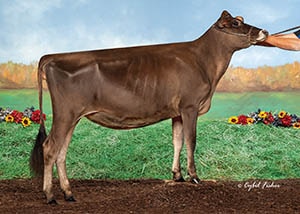 Bolle-Acres Gentry Fashion_21