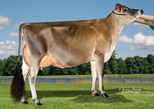 Cowbell Casino Dorsay_21