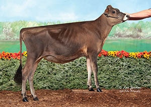 DKG Gentry Heidi