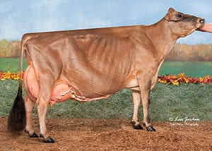 Hirds Colton Dream_21