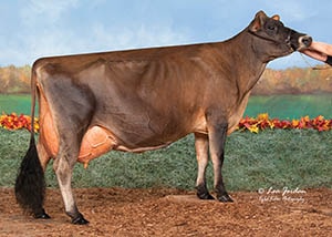 JEMI Velocity Moonshine_11_21