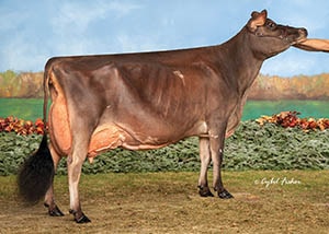 Krohlow Comerica Anna_10_21