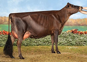 Pacific Edge Premier Diva-ET