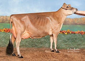 Royalty Ridge-RF Gentry Fabulous-ET_21