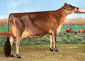 Summer Breeze Tequila Gayle_10_21