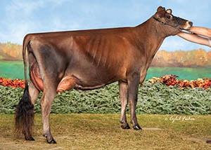 Whitdale Gentry Graceful-ET_10_21