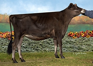 Clarabelle