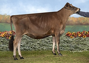 JF50624 Roc-N-Roll Billijean