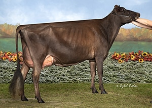 JF50699 Arethusa Andreas Sunlight-ET