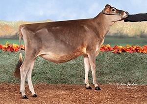 JFL23359 Z-Class Frothy Cappucino