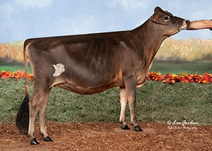 JFL23403 SBF Jeronimo Andi