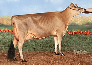 JFL23459 Kilgus Fizz Deborah