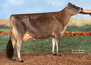JFL23468 Cowbell Casino Dorsay