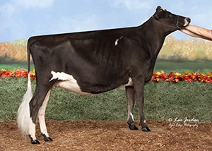 JFL23631 Whitdale Colton Ginny-ET