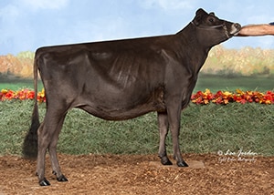 JFL23632 Schulte Bros Colton Frankie
