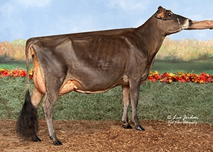 JFL23697 Heaths Grandious Winnie