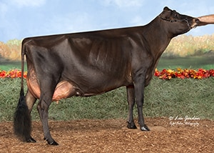 JFL23778 Pacific Edge Premier Diva