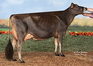 JFL23782 Rivendale VIP Eliose