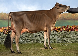 SLJ Colton Geneva