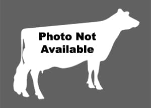 SV-Jersey_PhotoNotAvailable