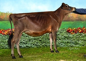 Stookeyholm Gentry Treasurer