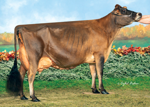 Bolle-Acres-Reviresco-Tyra-{4}