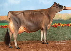 Cowbell-Casino-Dorsay_23
