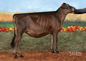 Four-Hills-Boomerang-Marvelous-{6}_23