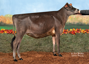 Gold-Star-Ferdinand-Celia-ET_23