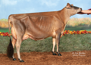 Hillacres-Chrome-Hibiscus_23
