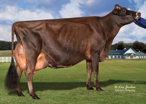 Seacord-Howacres-Tesla_23