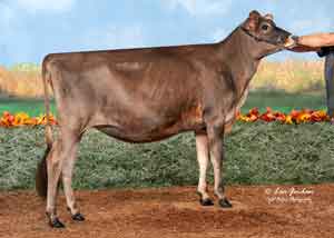 JFL28138-Budjon-Vail-Joel-Victoria-Secret-ET
