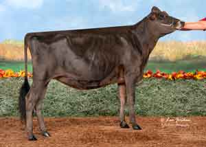 JFL28148-Z-Class-CC&Cranberry-Juice-ET