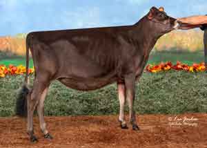 JFL28154-Freedome-Lane-VIP-Gladys-ET