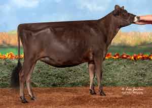 JFL28160-Bolle-Acres-Kid-Rock-Maple