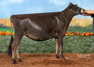 JFL28166-Bolle-Acres-Kid-Rock-Belle