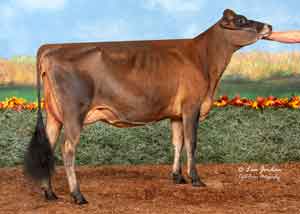 JFL28174-Victorious-Cinn-Star-Bentley
